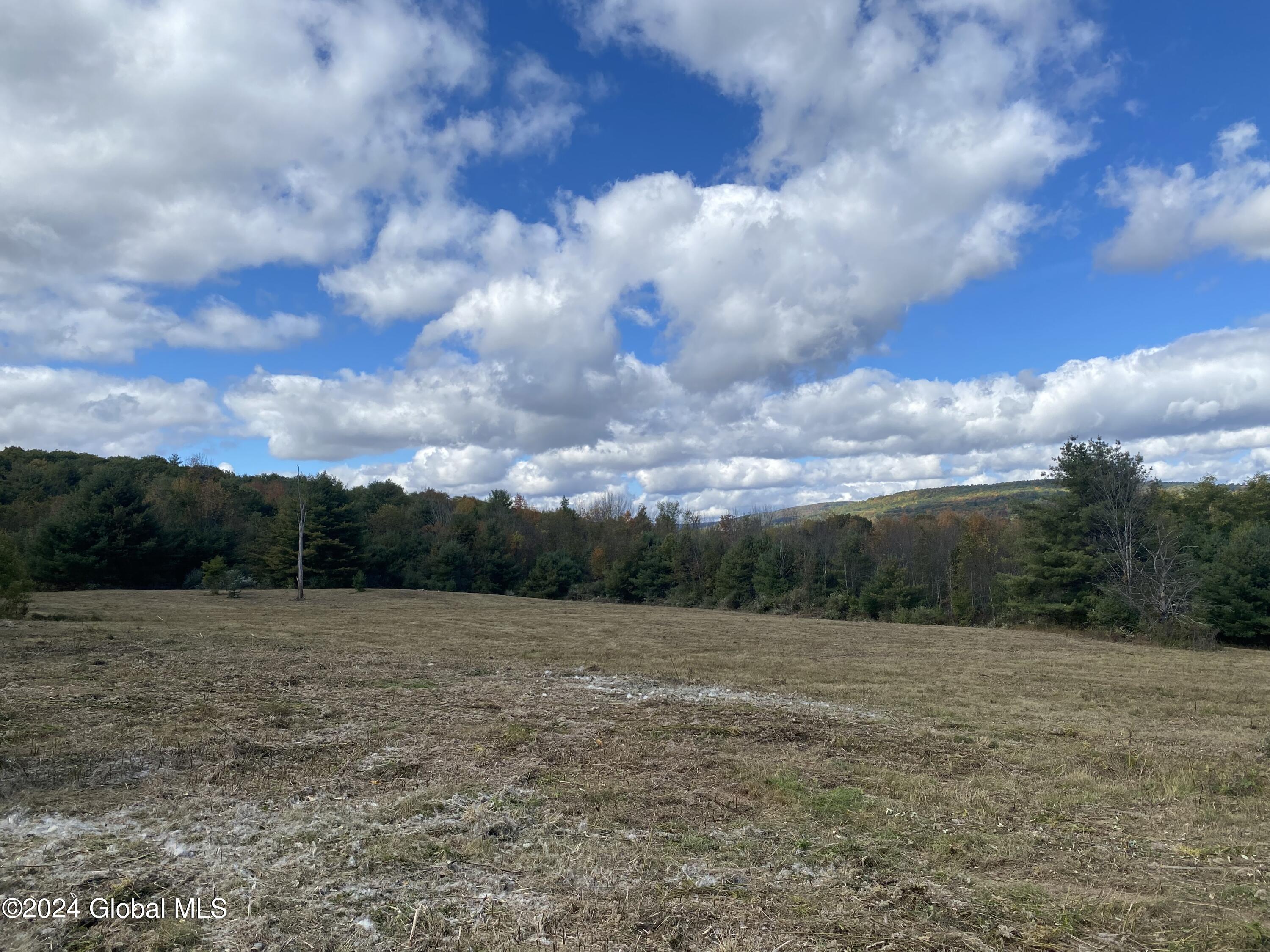 L35 Panorama Drive, East Durham, New York image 14