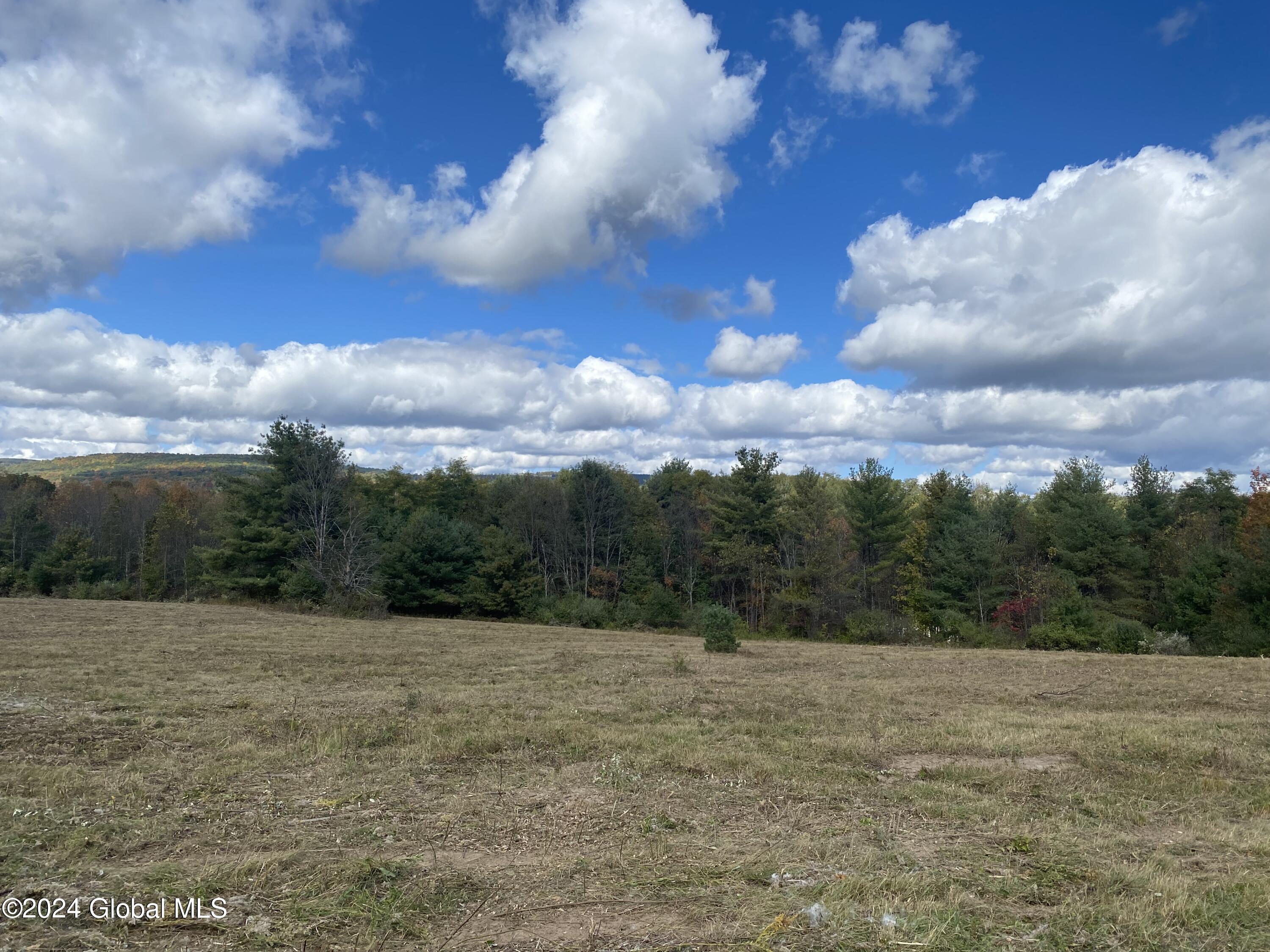 L35 Panorama Drive, East Durham, New York image 3