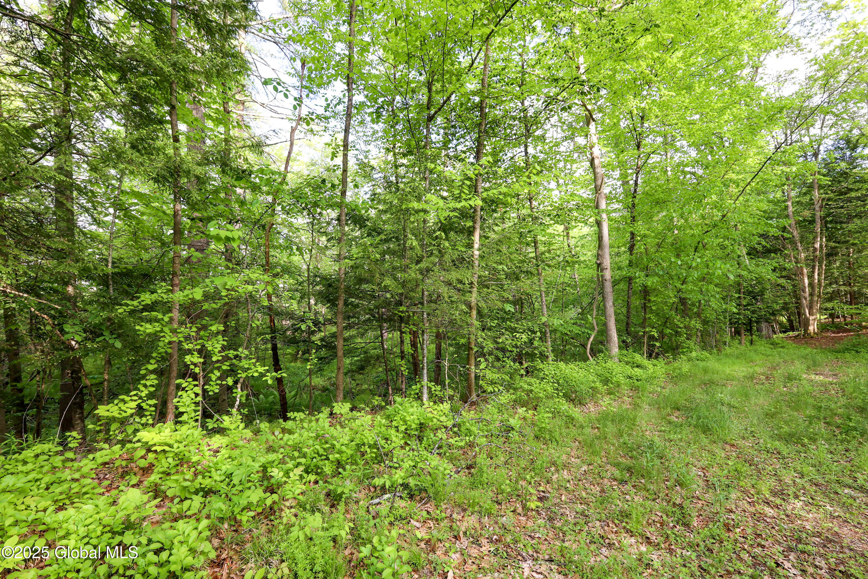 L18 Blind Rock Road, Queensbury, New York image 10