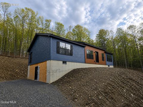 Photo of 727 Irish Hill Road, Berne, NY 12023 (MLS # 202616371)