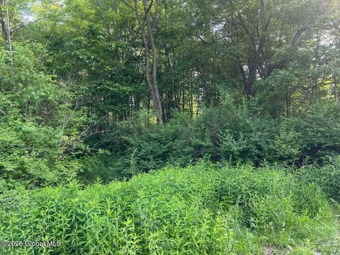 Photo of 8 Collamer Road, Malta, NY 12020 (MLS # 202518801)