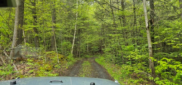 132 TAE KWON RD, NORTH BLENHEIM, NY 12131 - Image a8cdb87a5bae7d62d3538b4fa5b6cc94/3813711997
