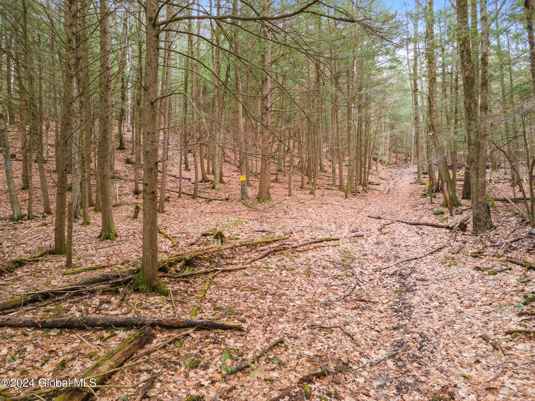 L18.1 Engle Road, Schoharie, New York image 1