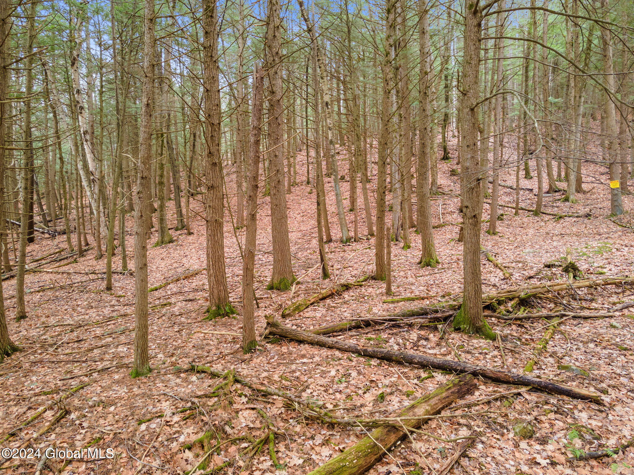 L18.1 Engle Road, Schoharie, New York image 8