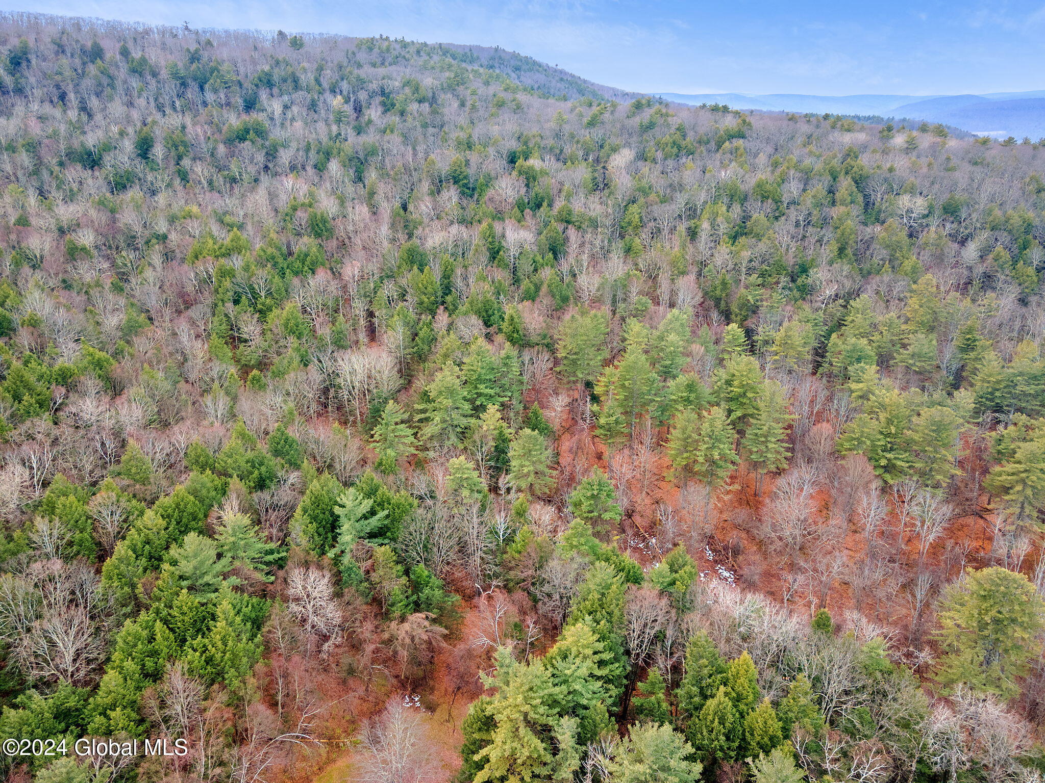 L18.1 Engle Road, Schoharie, New York image 9