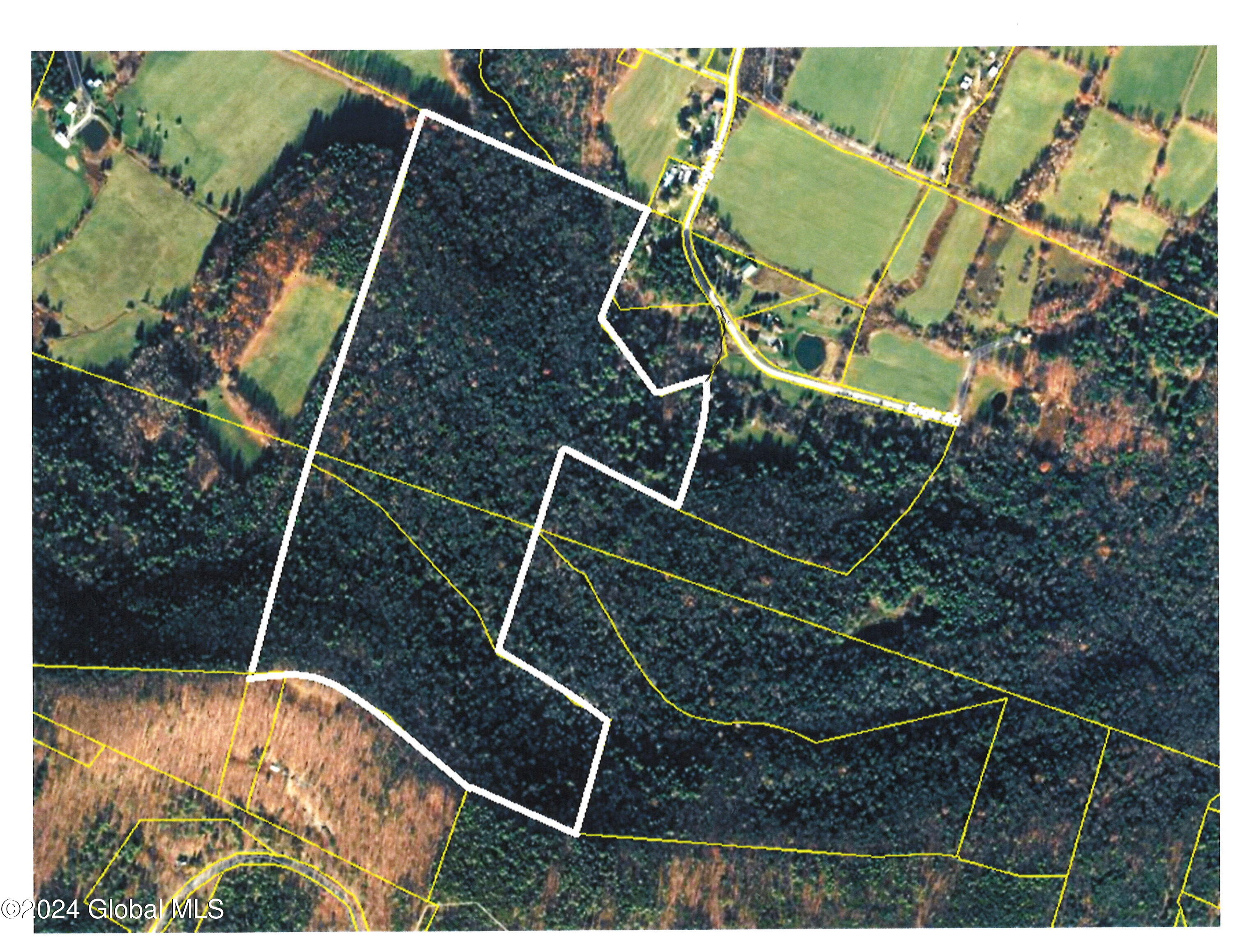 L18.1 Engle Road, Schoharie, New York image 3