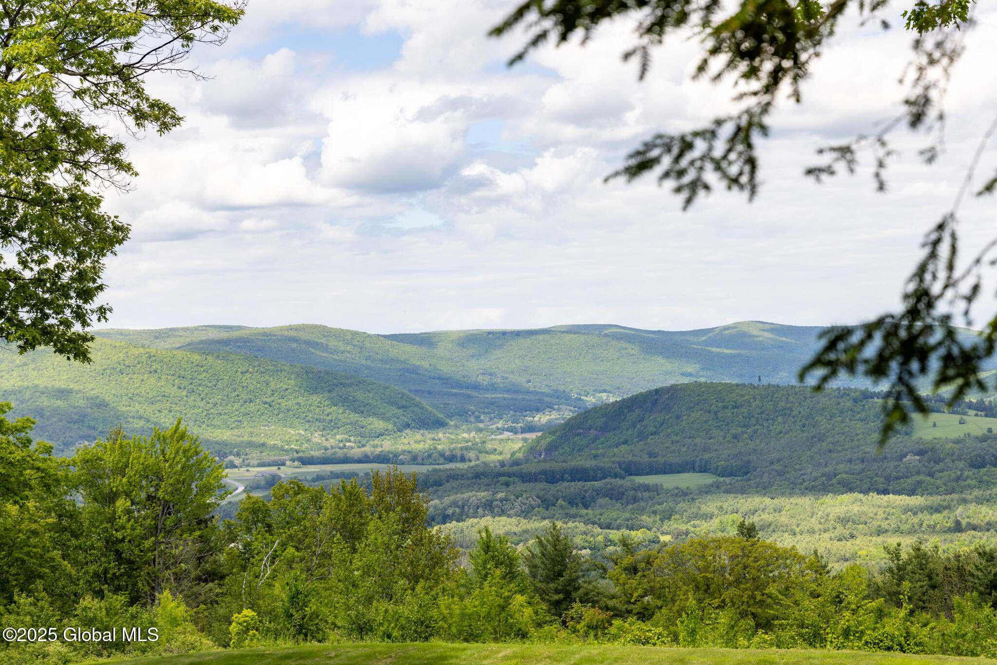 272 Meadowland Drive, Middleburgh, New York image 26