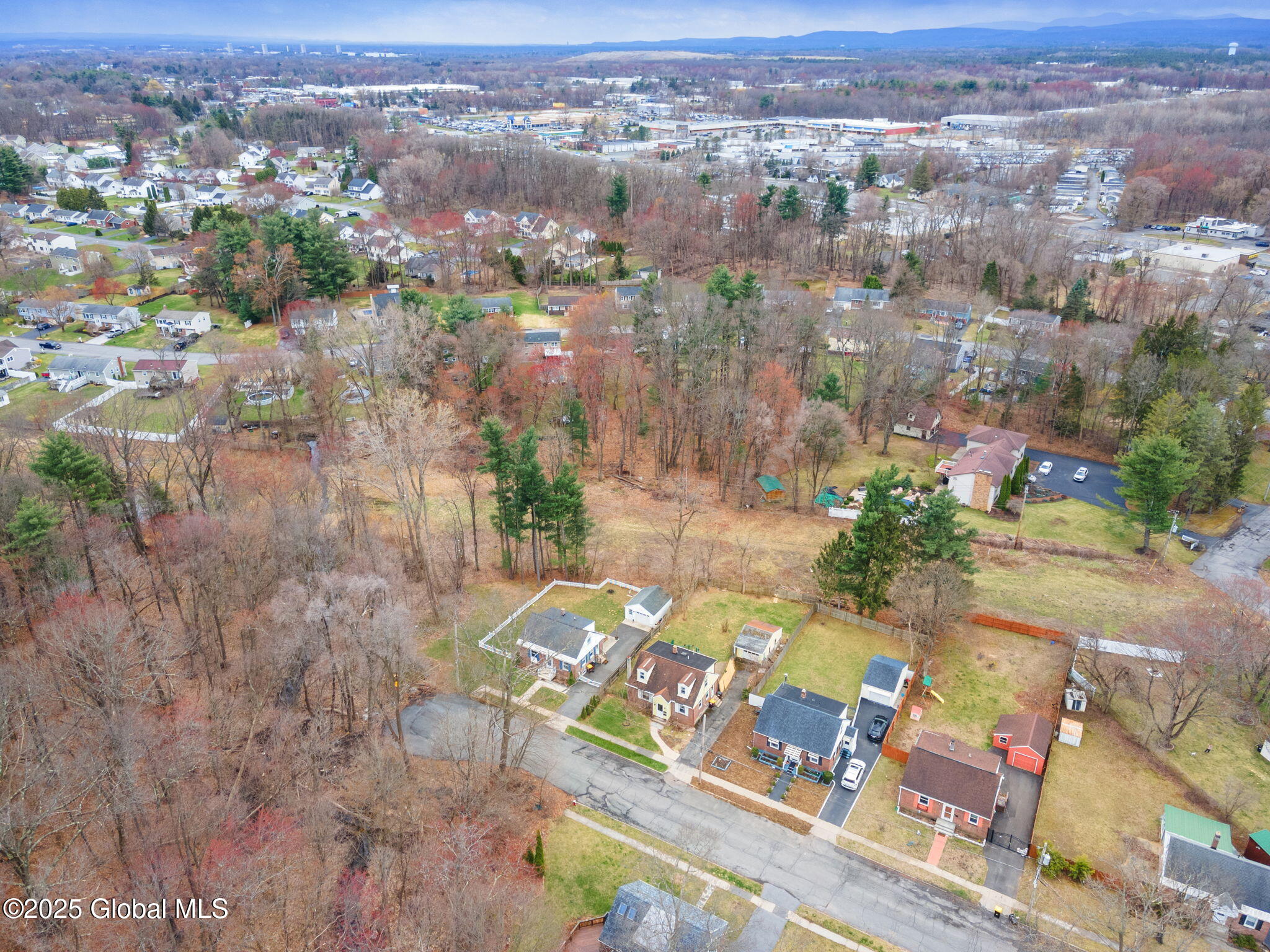 65 Brent Street, Albany, New York image 43