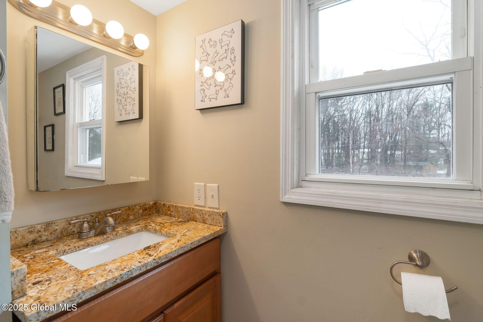 65 Brent Street, Albany, New York image 29