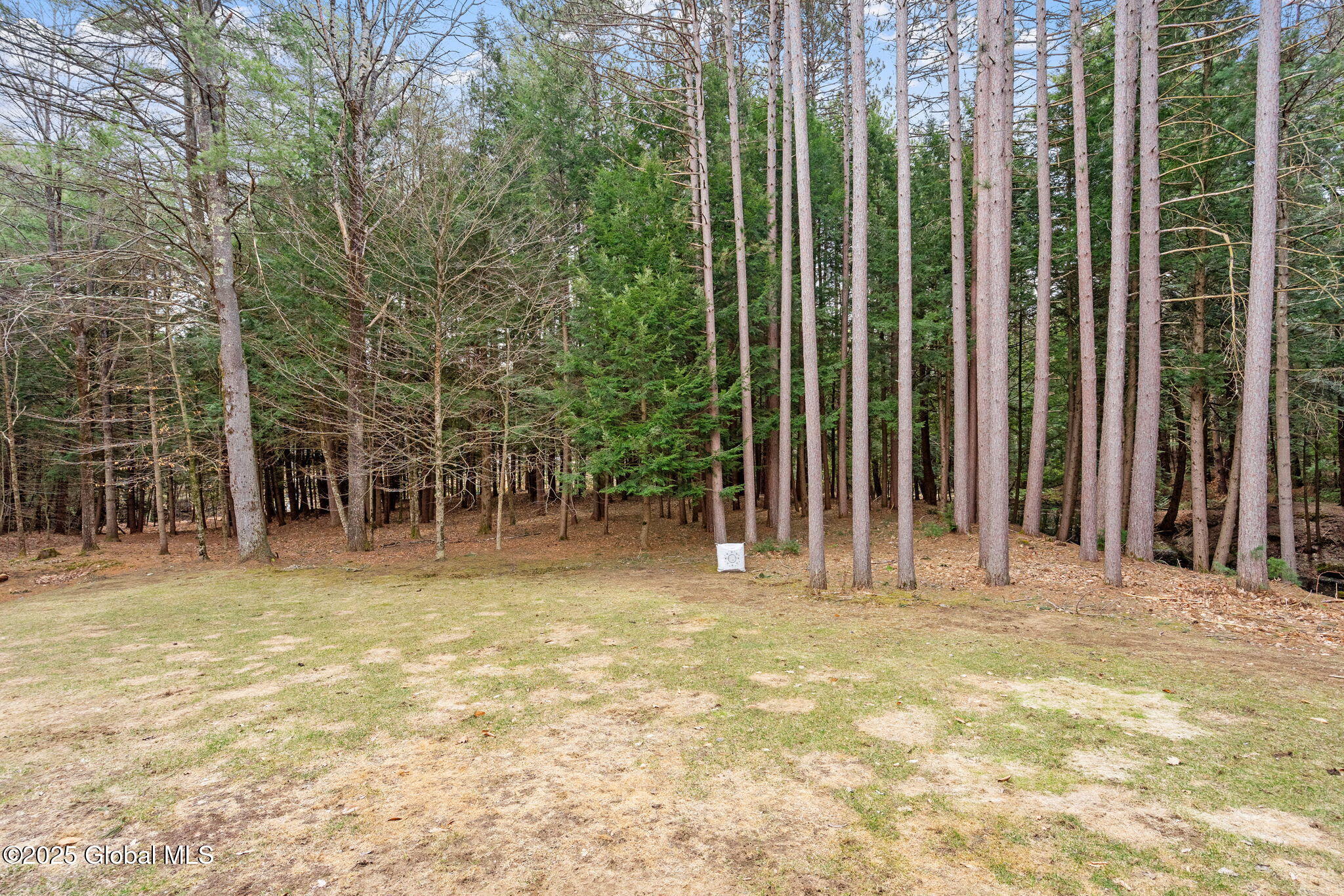 22 Trout Pond Road, Corinth, New York image 50