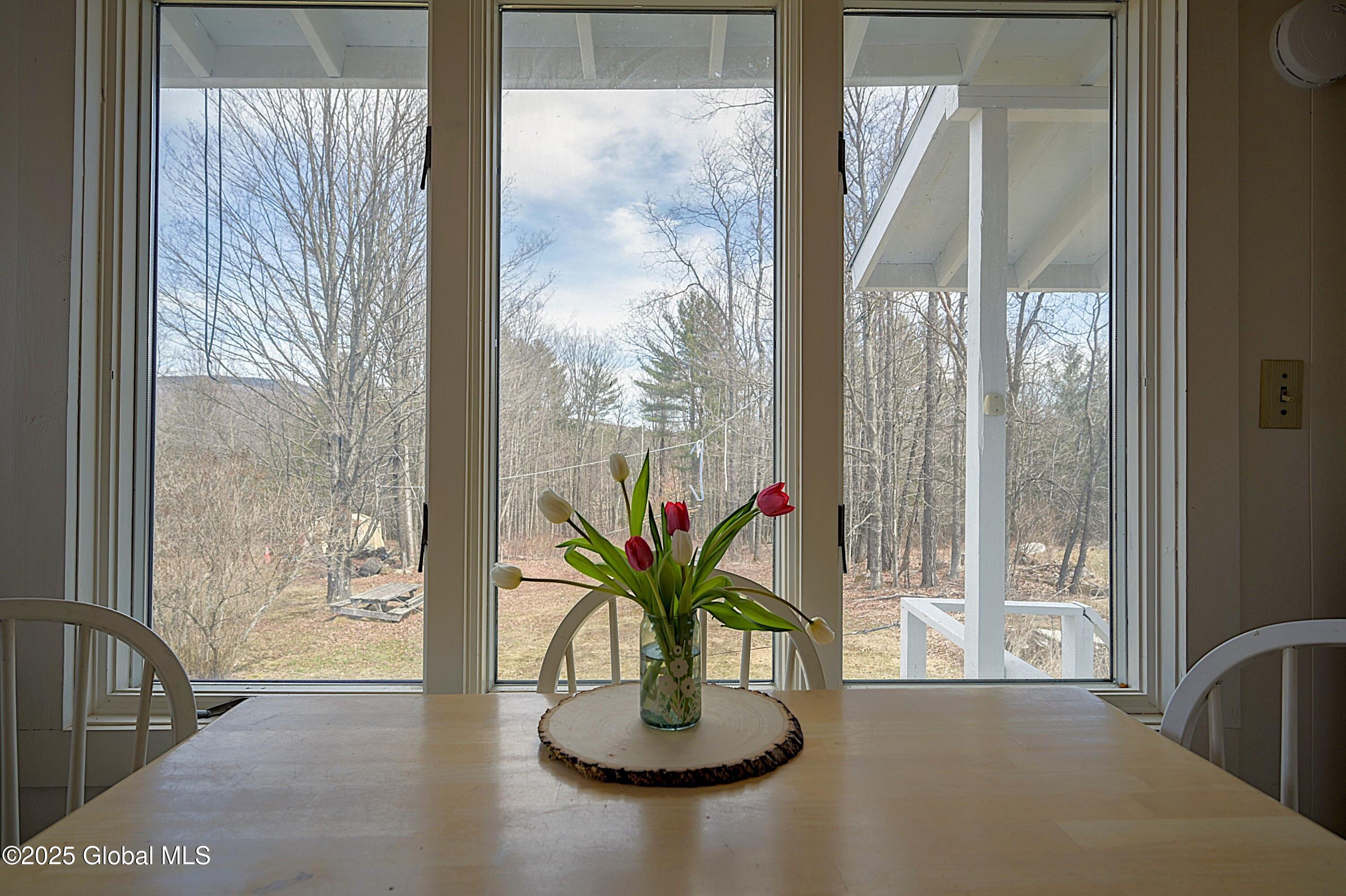 1706 Route 28n, Minerva, New York image 16