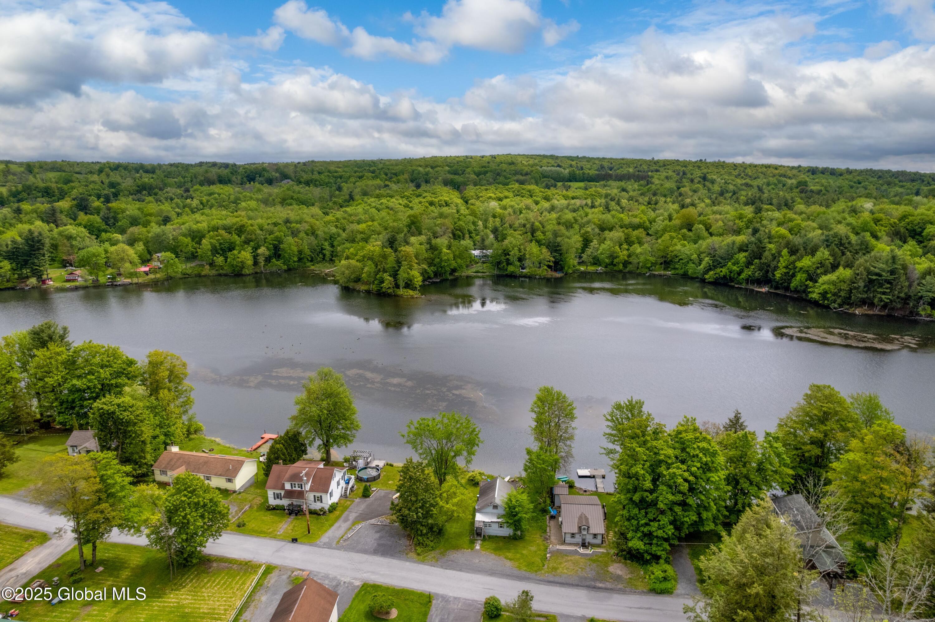 165 Lake Road, Berne, New York image 29