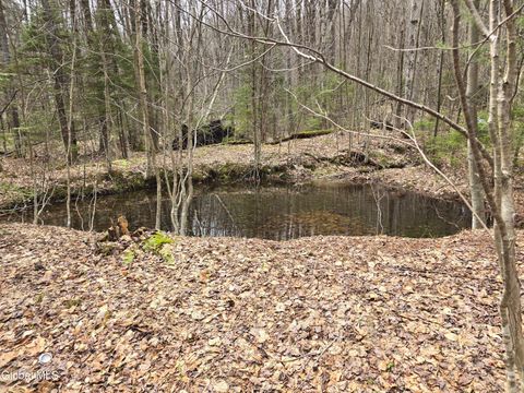 Photo of 0 Magee Road, Stamford, VT 99999 (MLS # 202616239)
