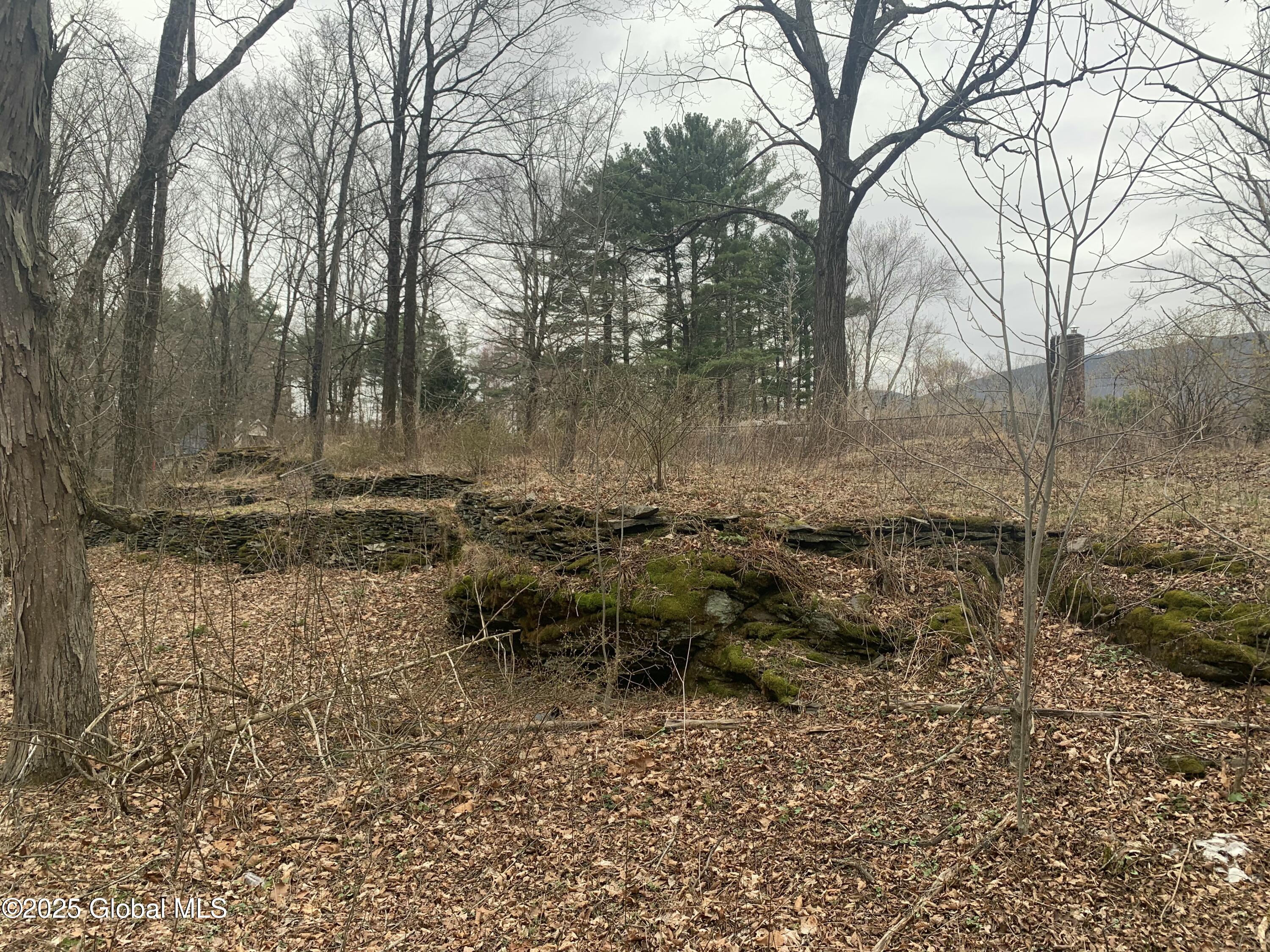 9 Lilac Lane, Catskill, New York image 8