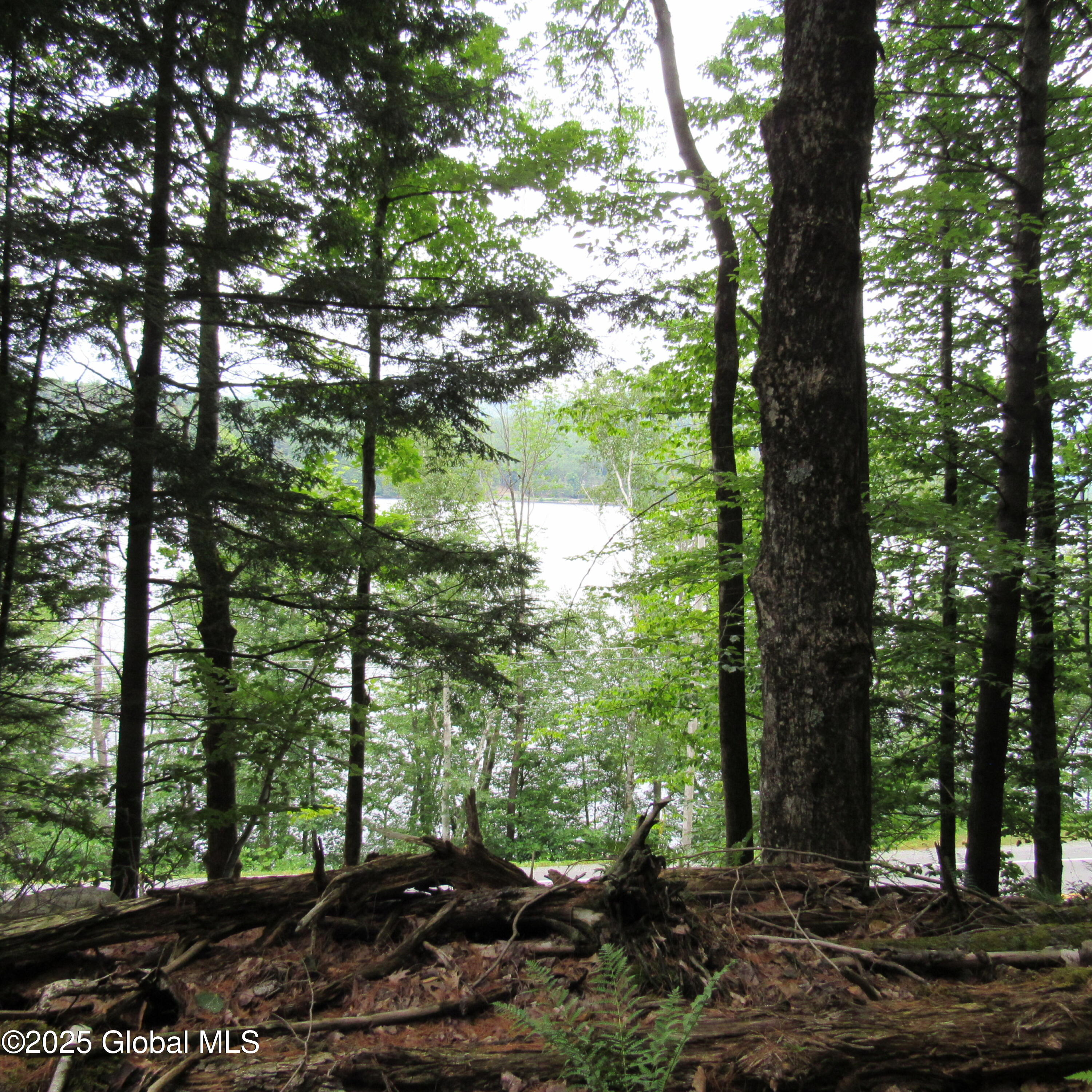 2348 S Shore Road, Hadley, New York image 7