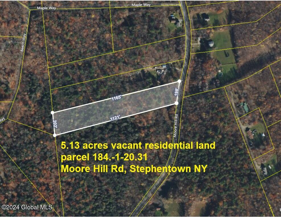 Moore Hill Road, Stephentown, New York image 1