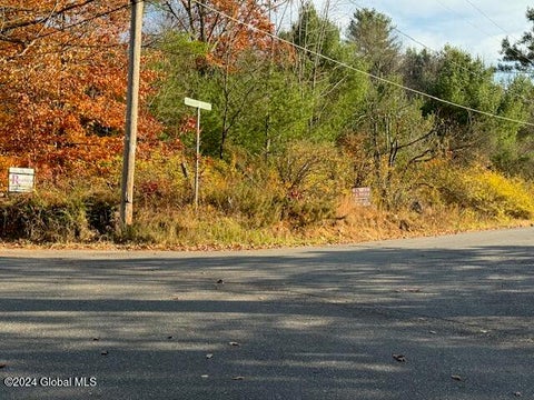 Vacant Land For Sale - 30 Vanare Lane<br/> Lake Luzerne, NY 12846