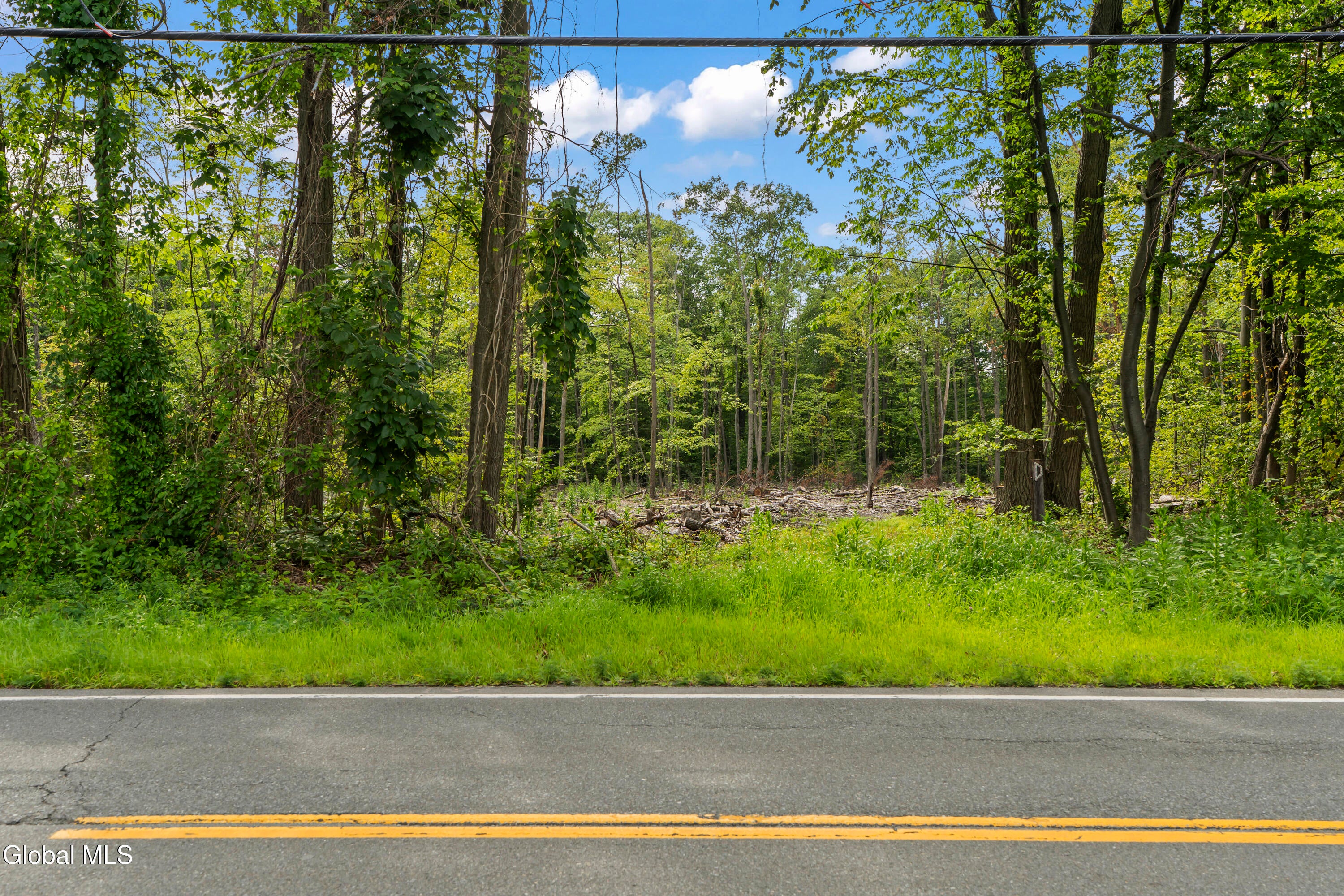 226 Woodin Road