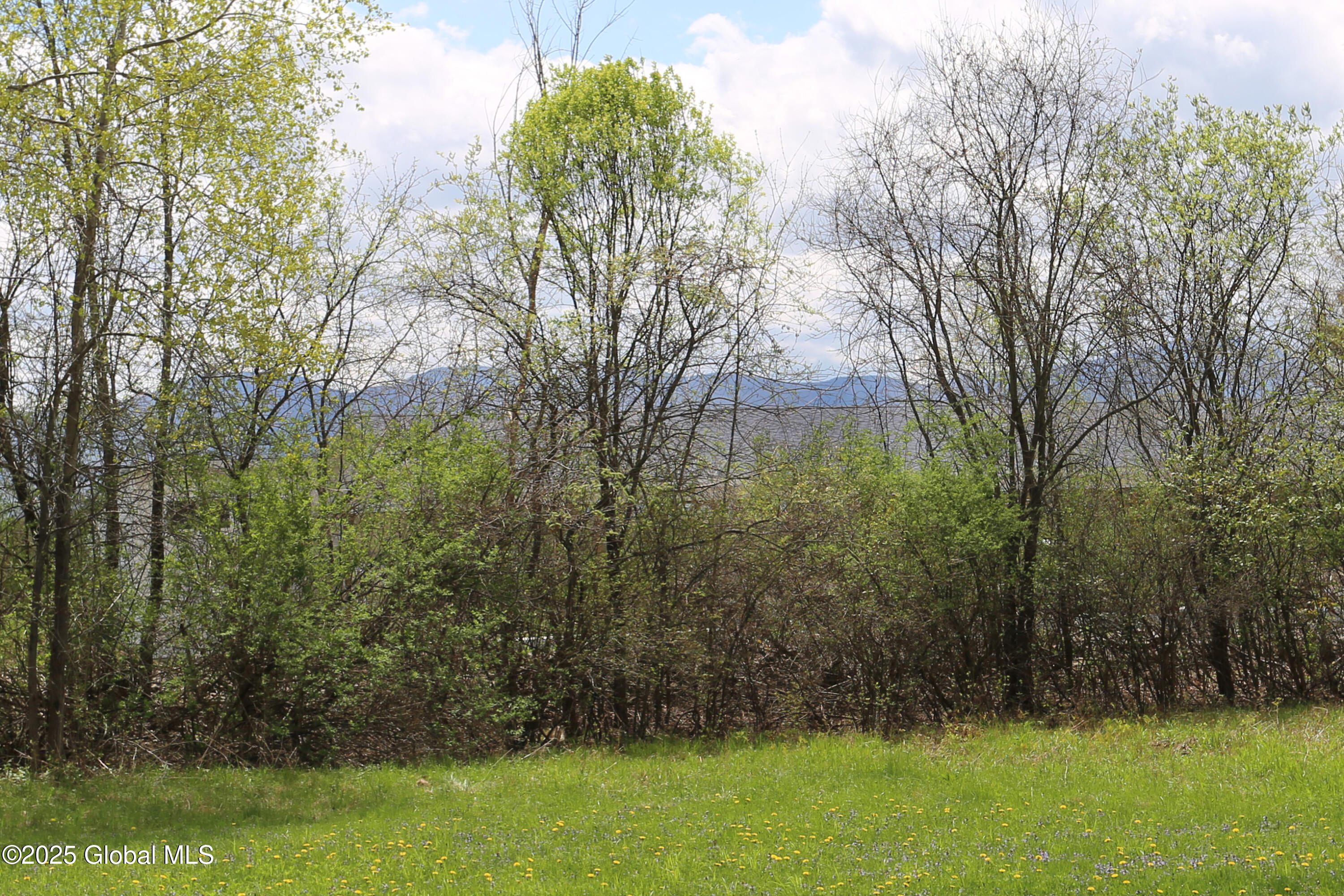 147 Skyview Drive, Greenville, New York image 33