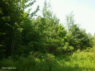 5 Blossom Hill Road, Coeymans, New York image 11