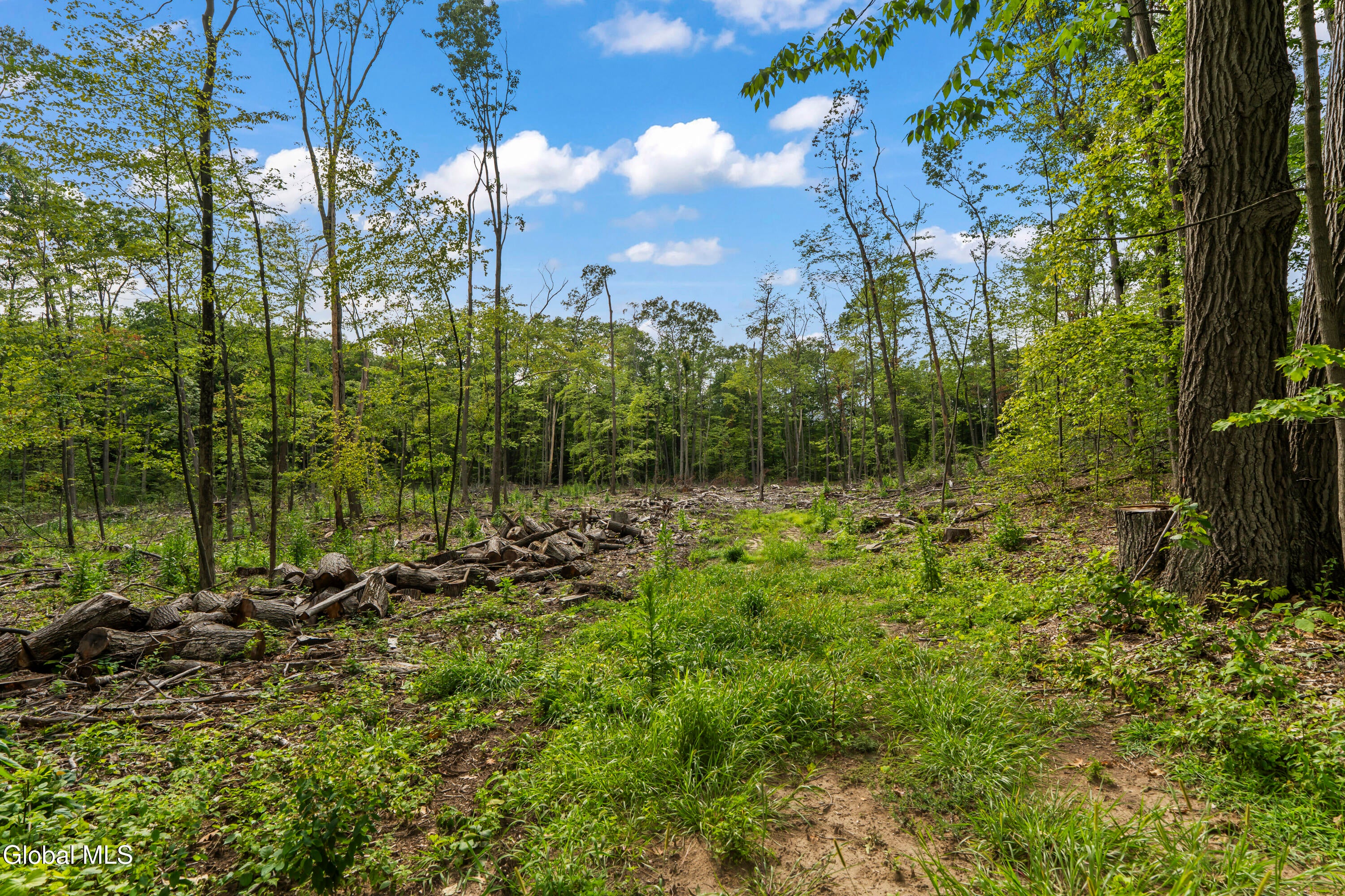 230 Woodin Road