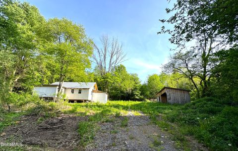 Vacant Land For Sale - 4570 New York 10<br/> Fort Plain, NY 13339