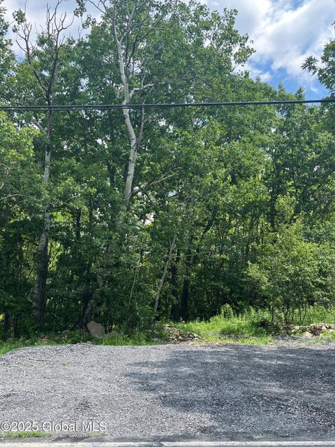 Vacant Land For Sale - L41 N Mansion Road<br/> Duanesburg, NY 12056
