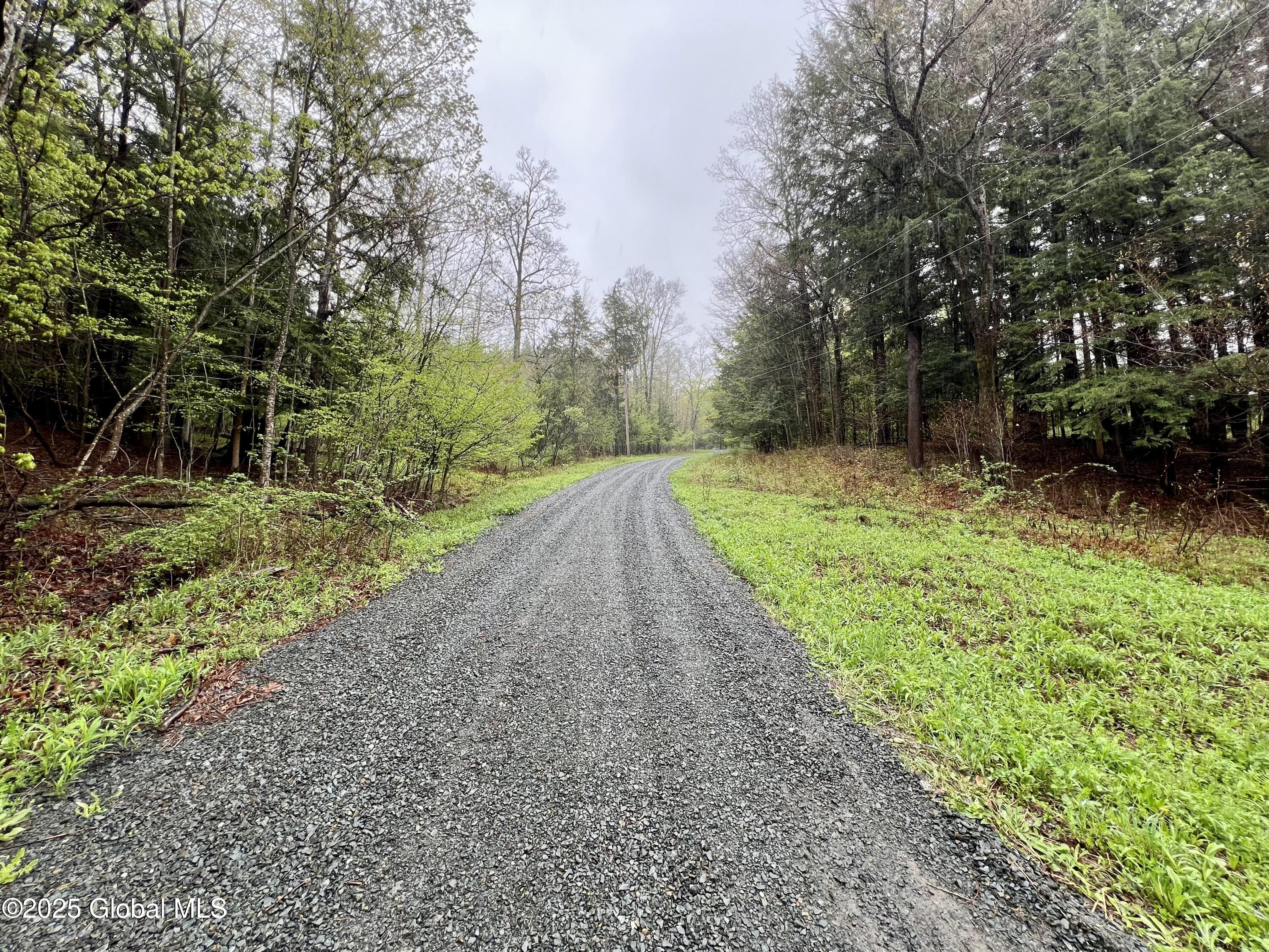 1298 Switzkill Road, Berne, New York image 16