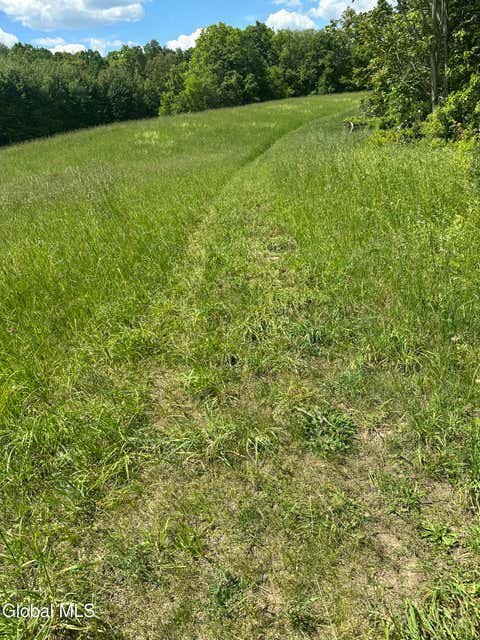 Photo of 171 Orchard Road, Columbia, NY 12075 (MLS # 202619043)