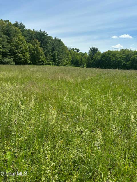 Vacant Land For Sale - 171 Orchard Road<br/> Columbiaville, NY 12075