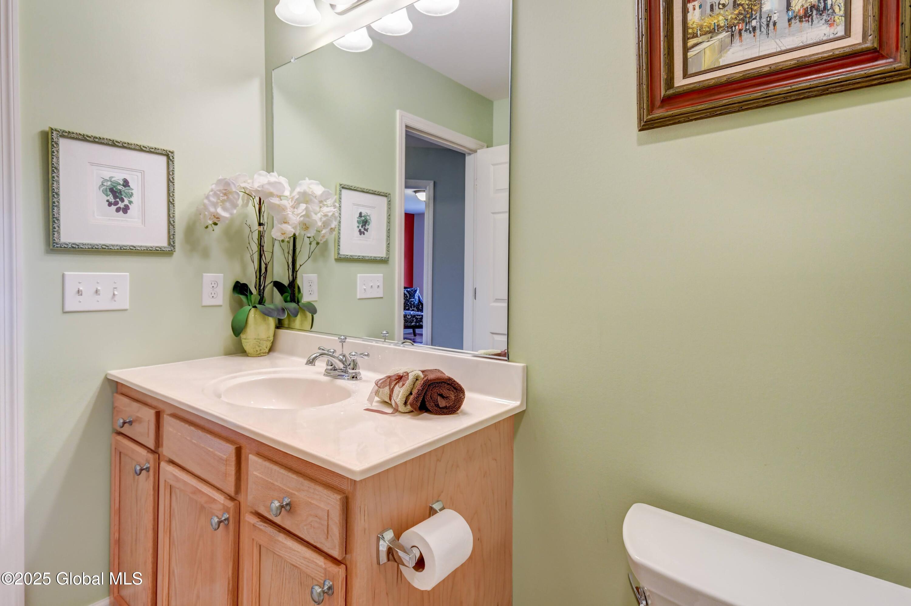 84 Andriana Lane, Albany, New York image 35