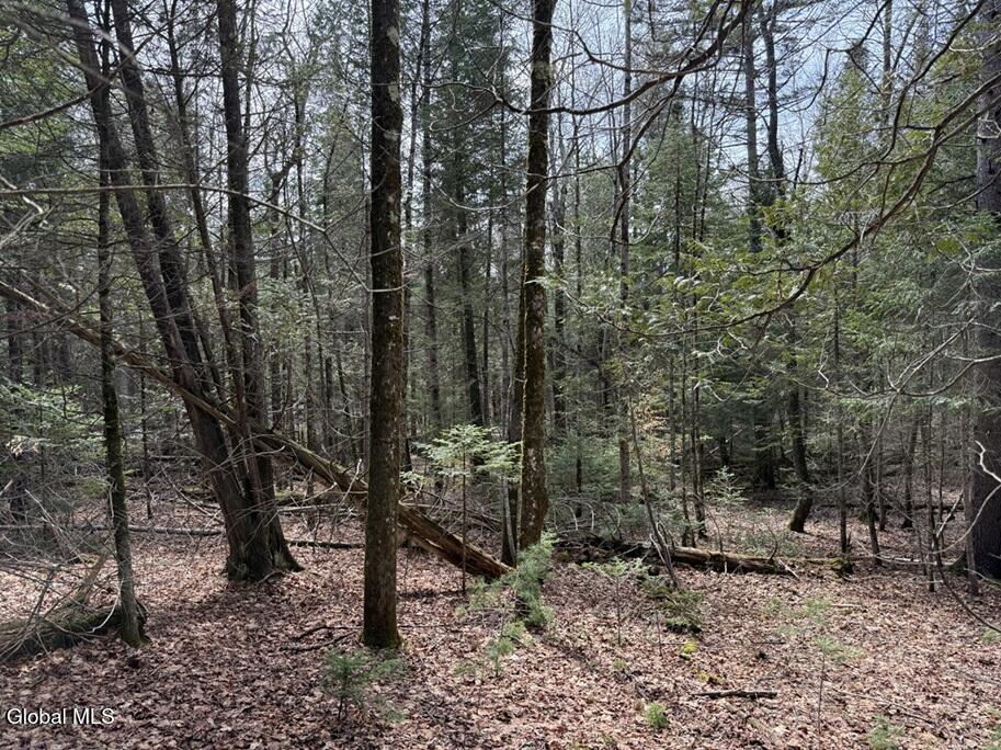 L34.2 Youngs Road #2