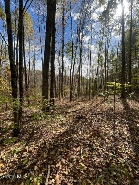 Photo of L5.2 Warner Road, Granville, NY 12832 (MLS # 202527643)