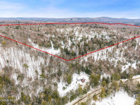 Photo of L25.1 Fifty Six Road, Petersburgh, NY 12138 (MLS # 202616135)