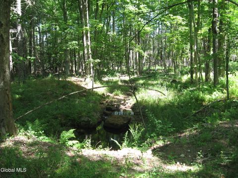 Vacant Land For Sale - 1260 Valentine Pond Road<br/> Warren County, Adirondack, NY 12808