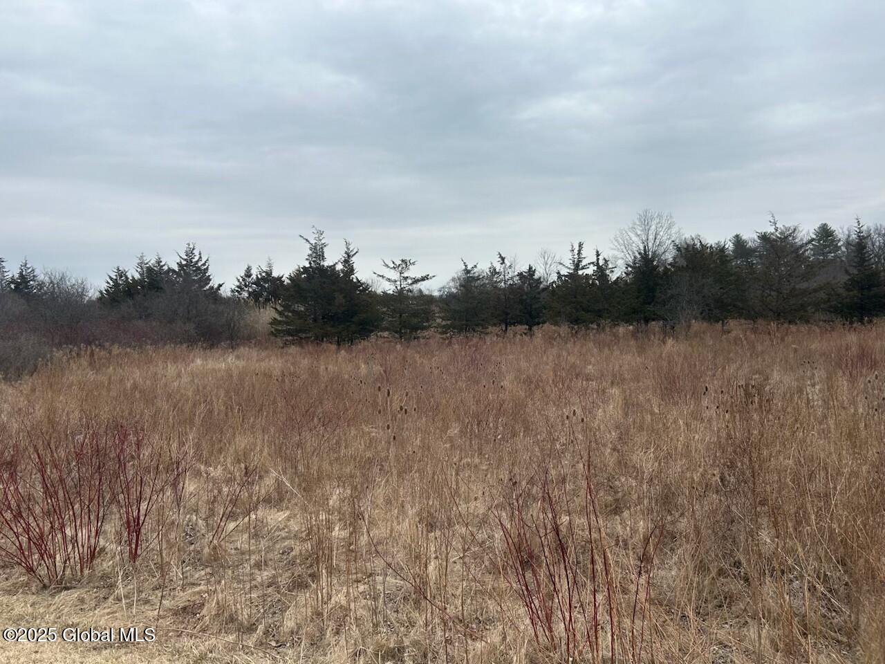 97 Hillside Drive, Athens, New York image 4