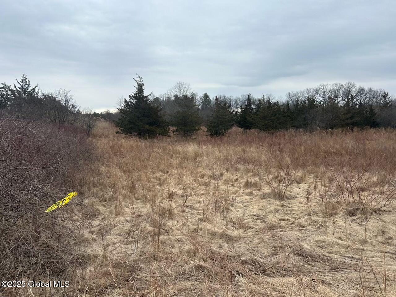 97 Hillside Drive, Athens, New York image 2