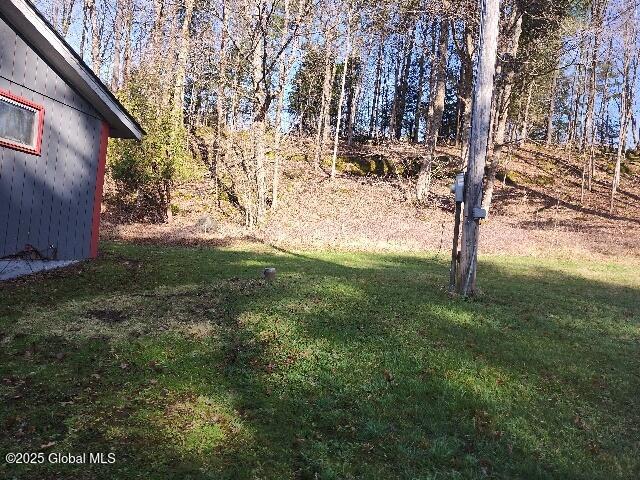 92 Morse Lane, Whitehall, New York image 3