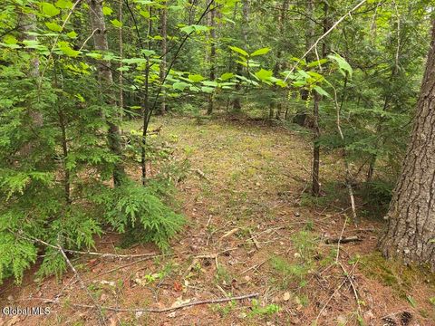 Vacant Land For Sale - L2 & L3 Old Schroon Road<br/> Warren County, Pottersville, NY 12860
