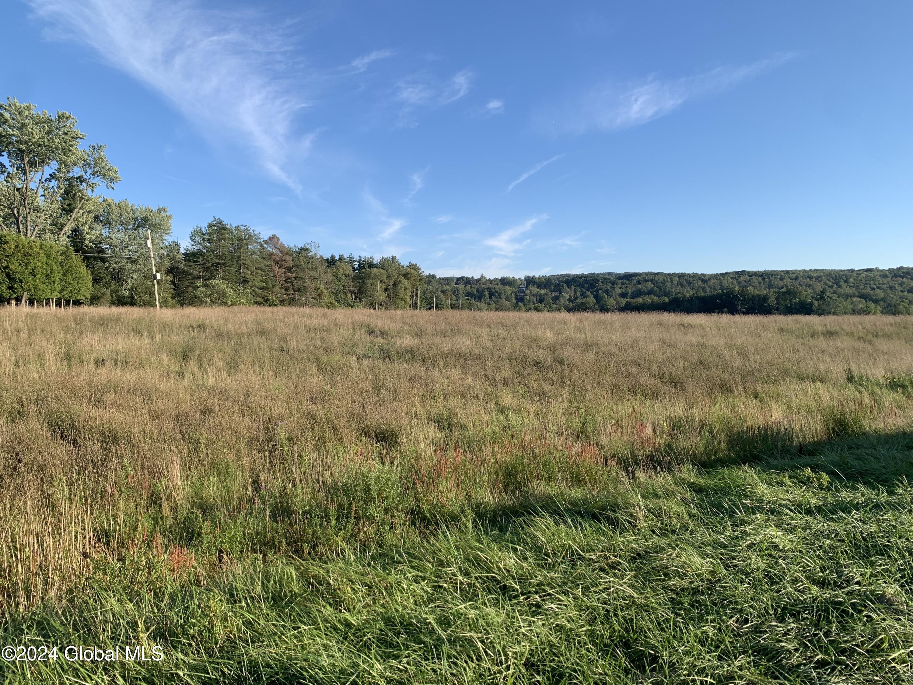 Lot 6 Ny 30, Esperance, New York image 13