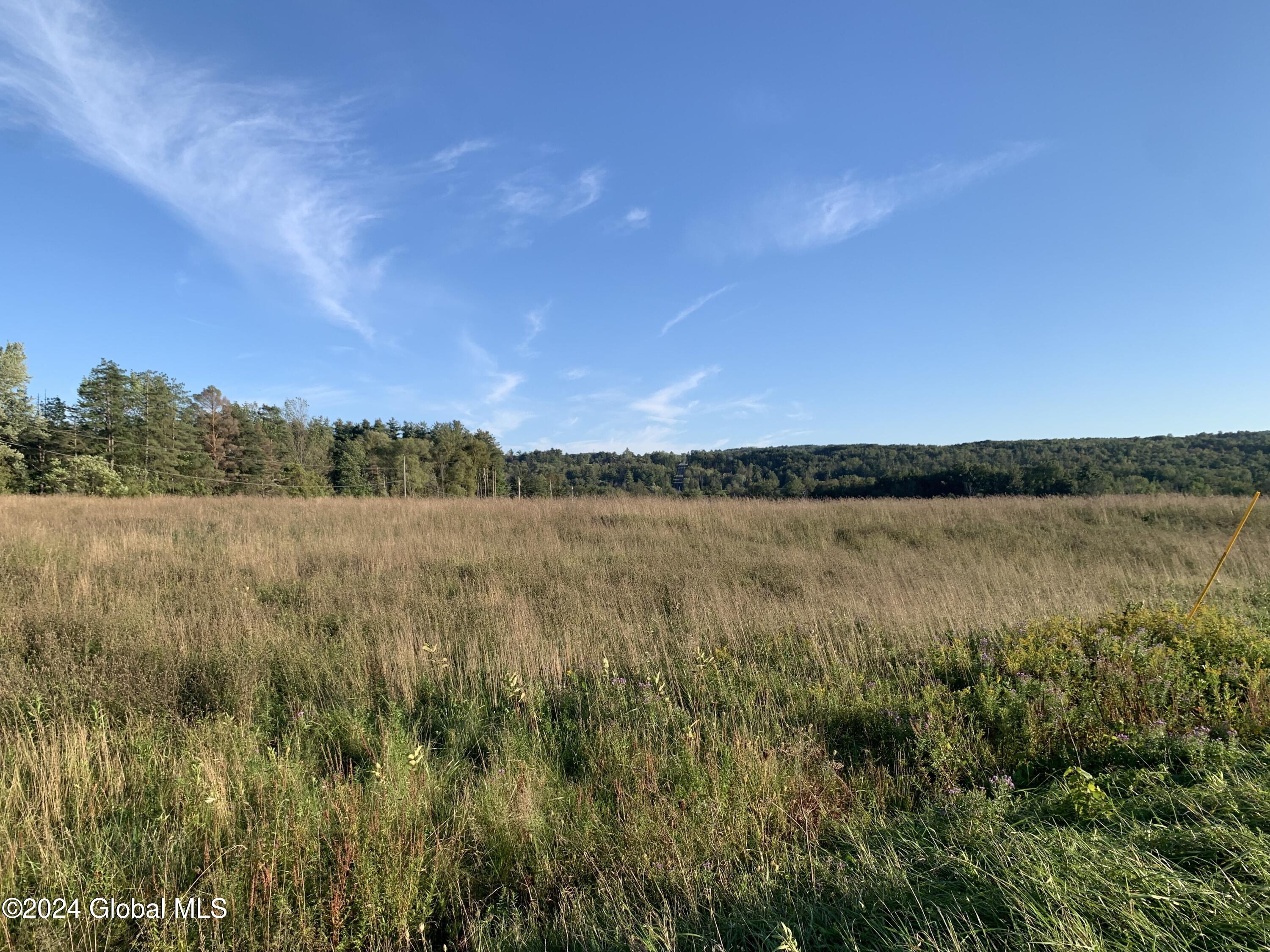 Lot 6 Ny 30, Esperance, New York image 14