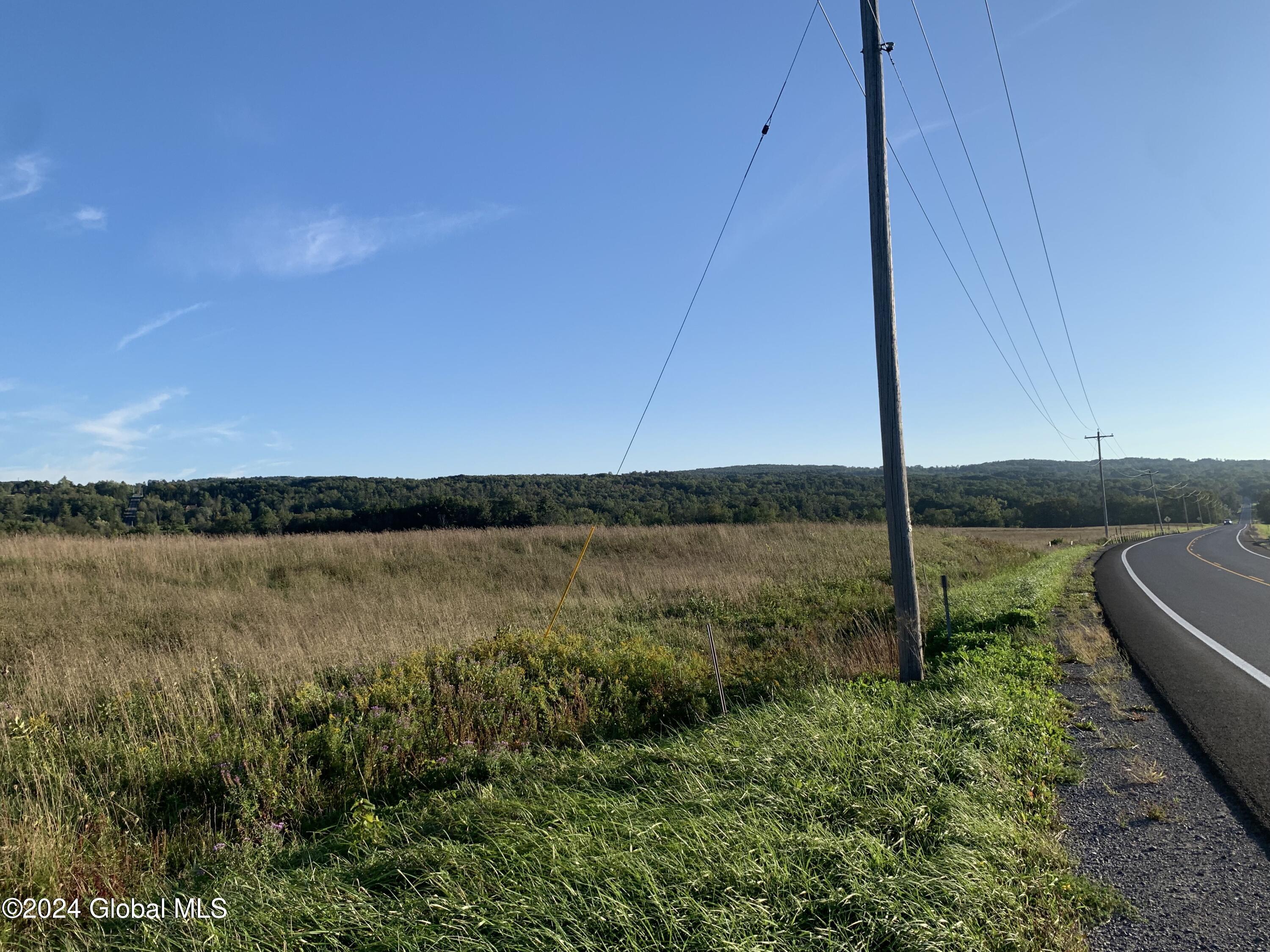 Lot 6 Ny 30, Esperance, New York image 4