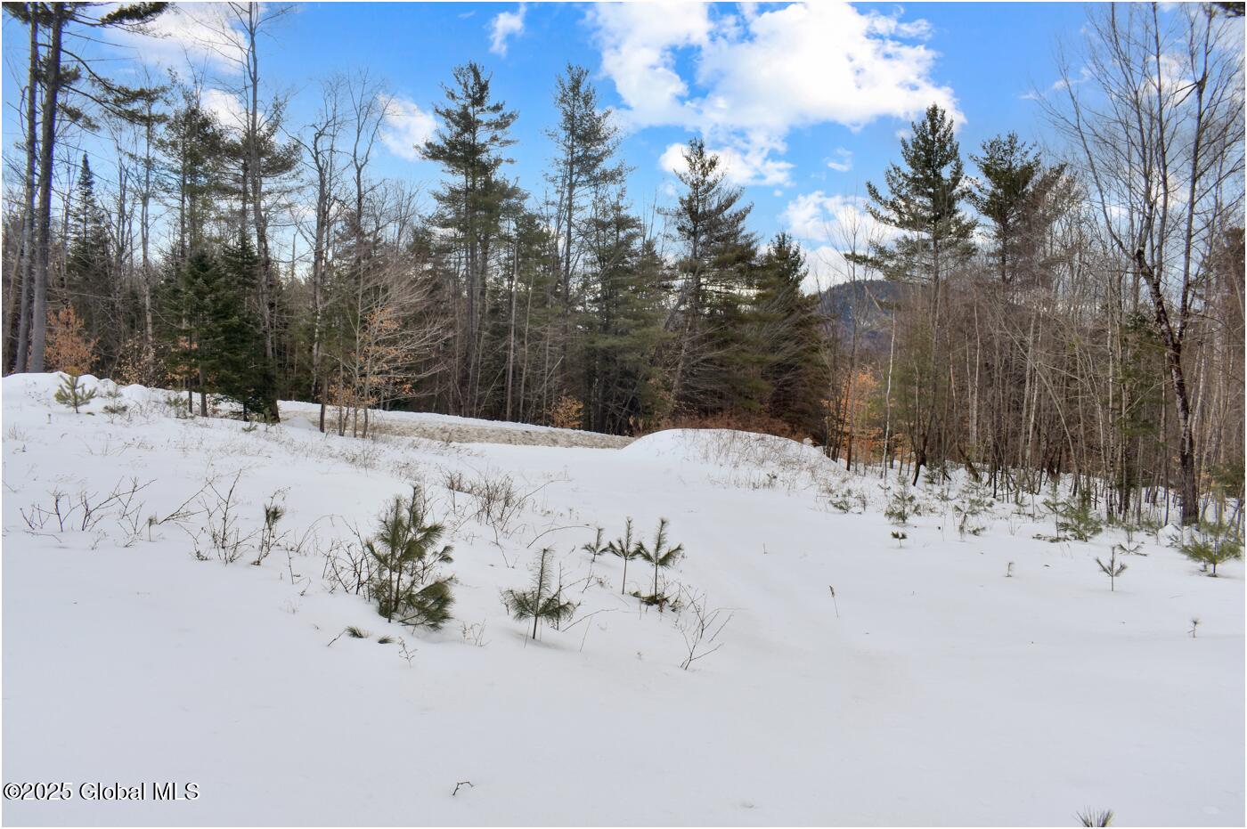 L88 Highview Lane #LOT 4, Wevertown, New York image 9