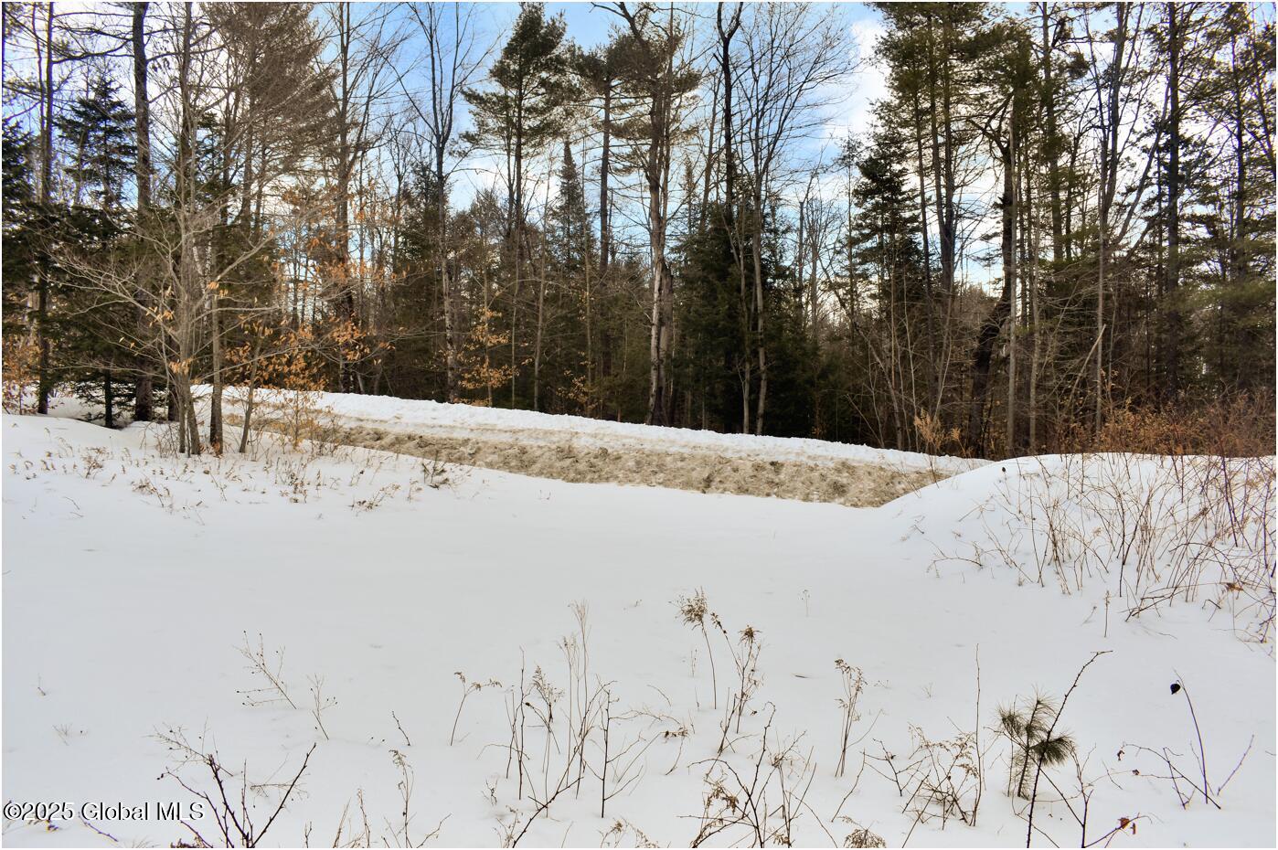 L88 Highview Lane #LOT 4, Wevertown, New York image 14