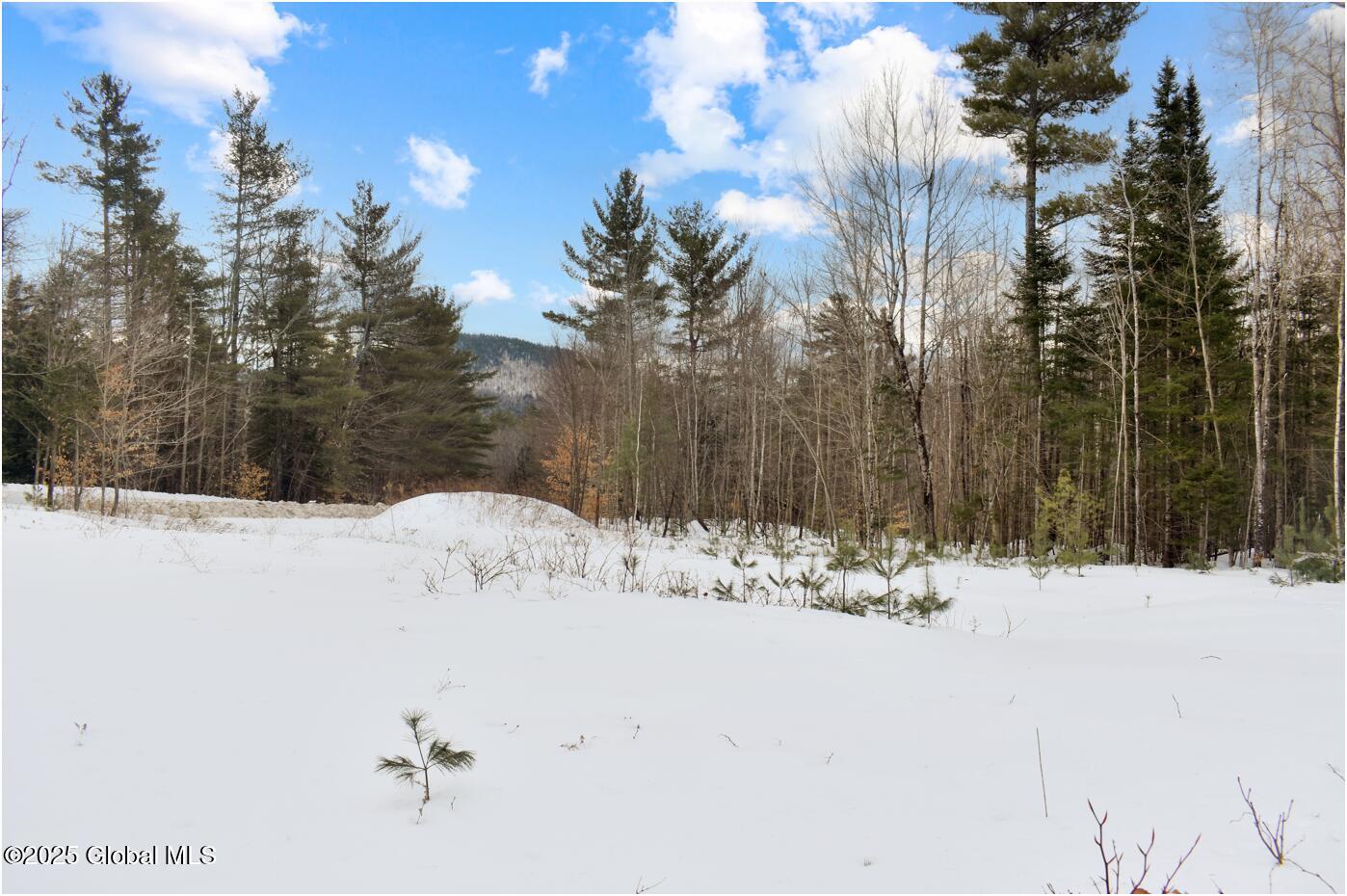 L88 Highview Lane #LOT 4, Wevertown, New York image 5