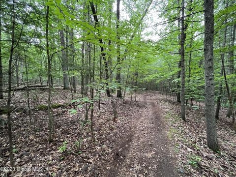Photo of L19.22 Homestead Road, Saratoga Springs, NY 12866 (MLS # 202510387)