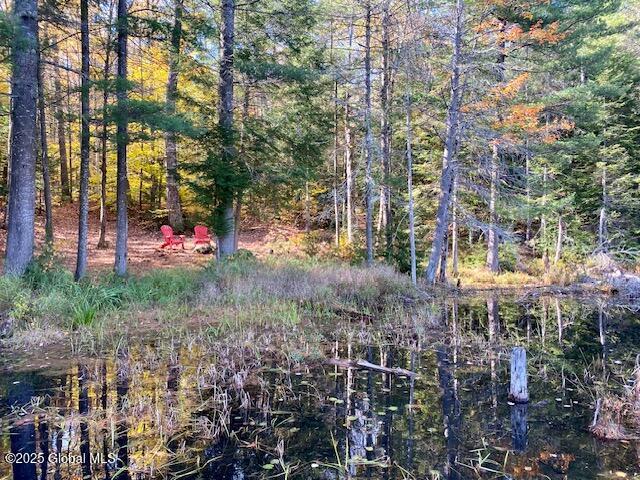 106 Mountain Path, North Creek, New York image 16