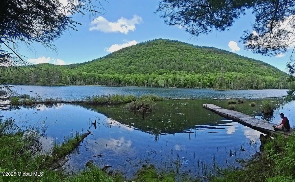 106 Mountain Path, North Creek, New York image 15