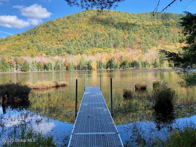 106 Mountain Path, North Creek, New York image 13