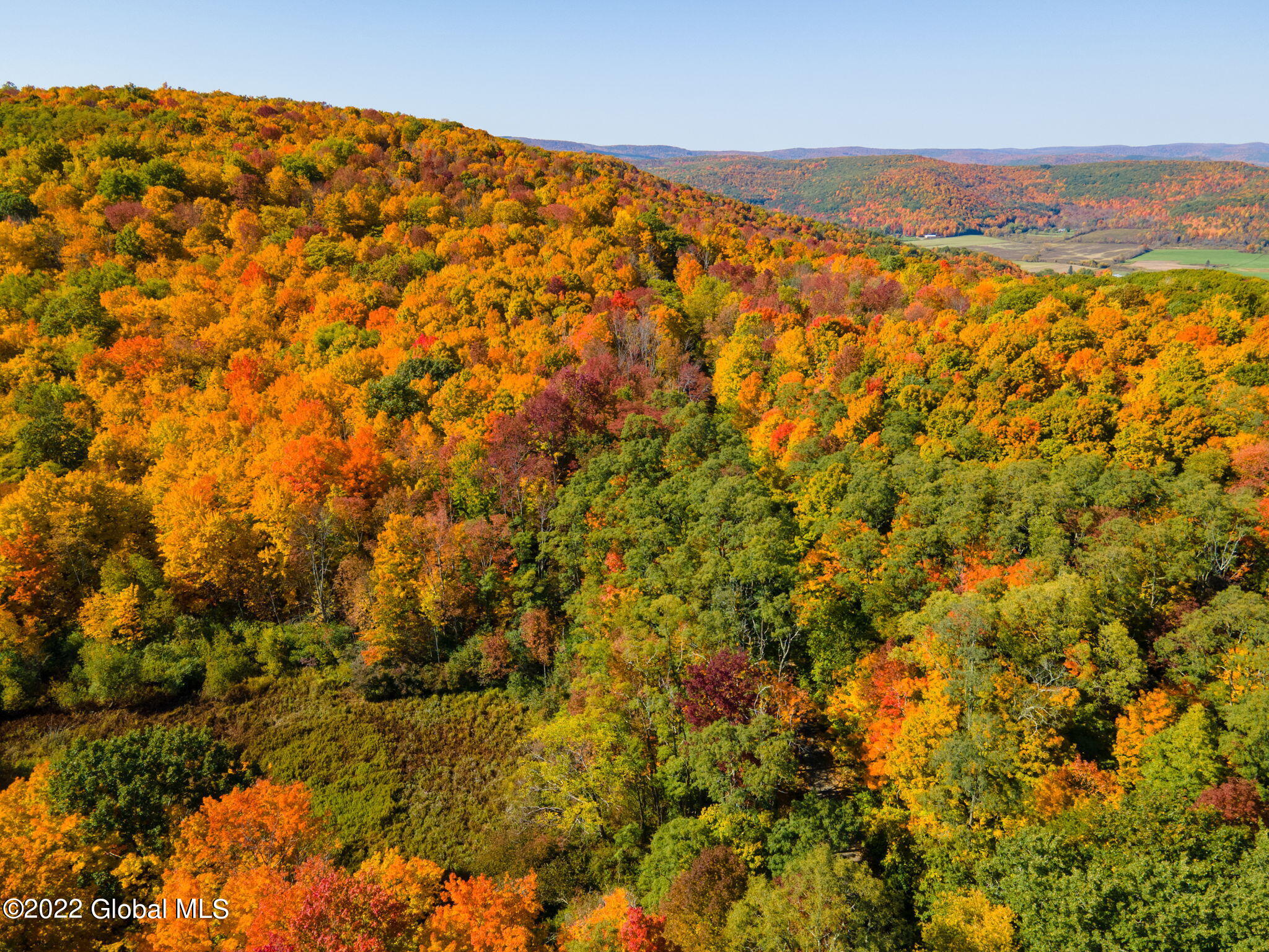 L10.23 Podpadic Road, Richmondville, New York image 32